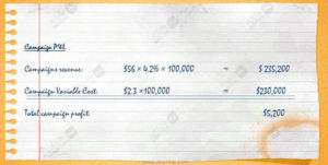 campaign profit & loss