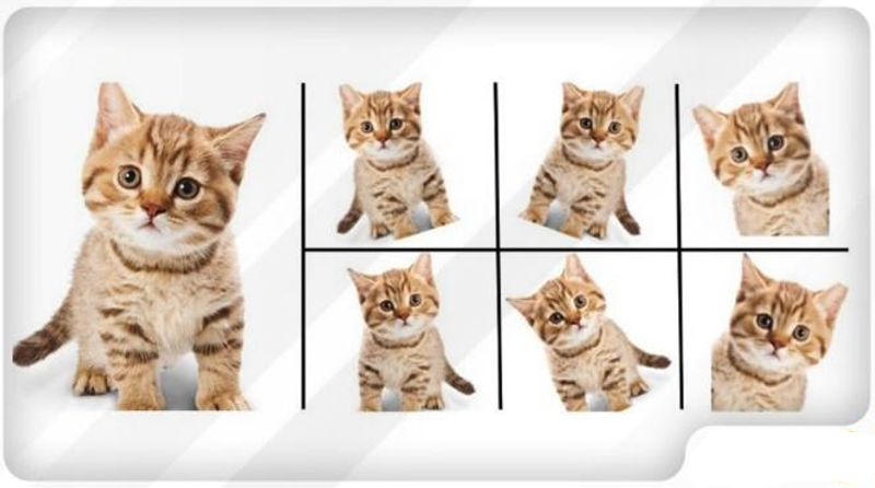 مقدمه ای بر مدل های پیشبینانه