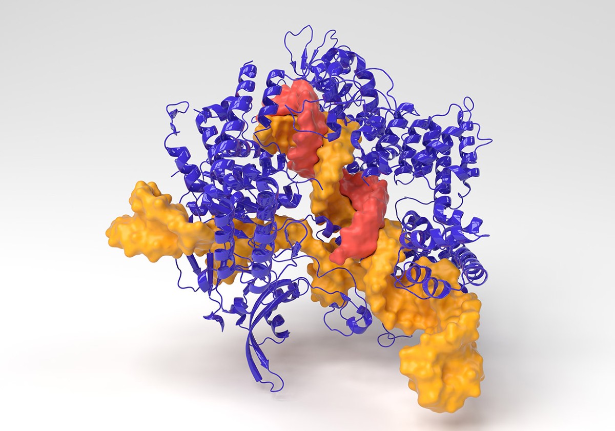 OpenCRISPR